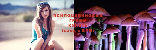 соль курить ск Вязники