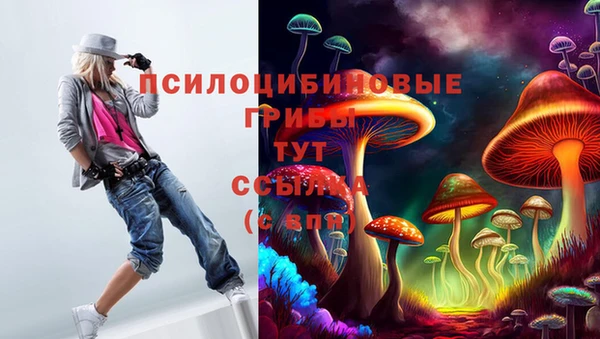 прущая мука Вязьма