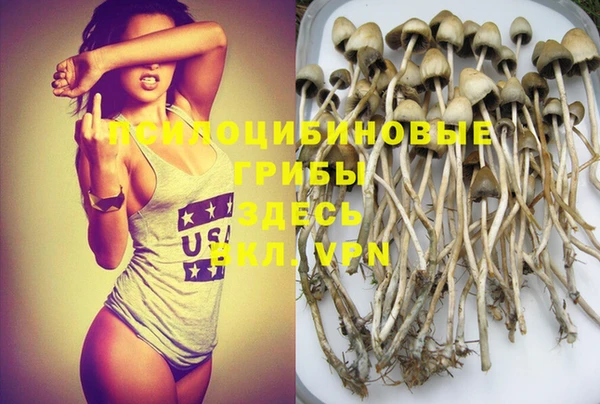 дурь Вяземский